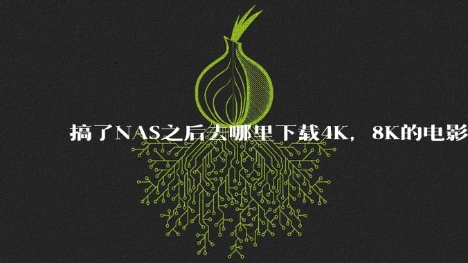 搞了NAS之后去哪里下载4K，8K的电影？