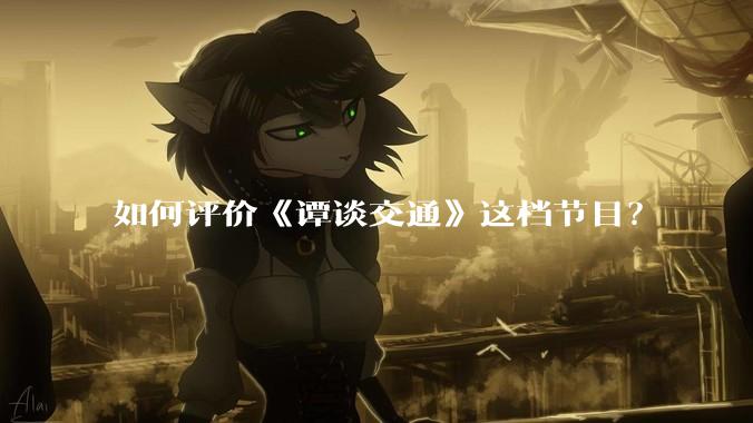 如何评价《谭谈交通》这档节目?