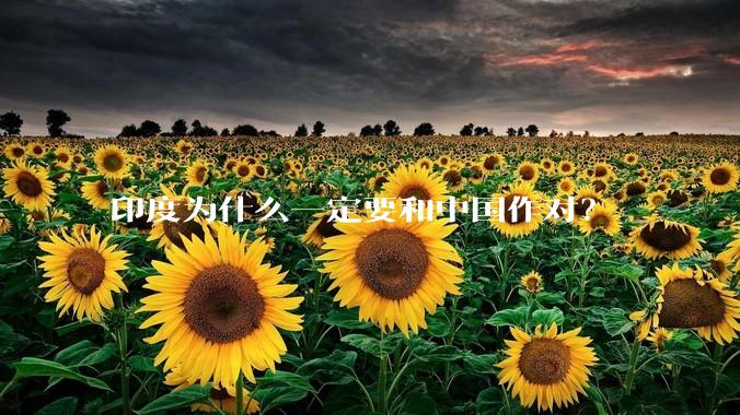 印度为什么一定要和中国作对?