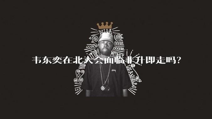 韦东奕在北大会面临非升即走吗?