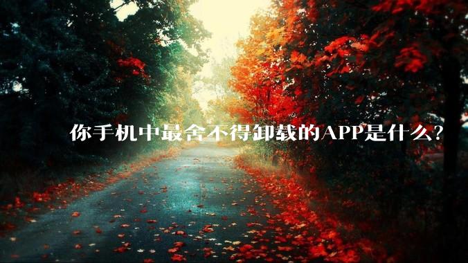 你手机中最舍不得卸载的APP是什么?