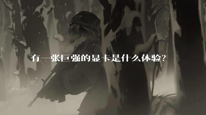 有一张巨强的显卡是什么体验?