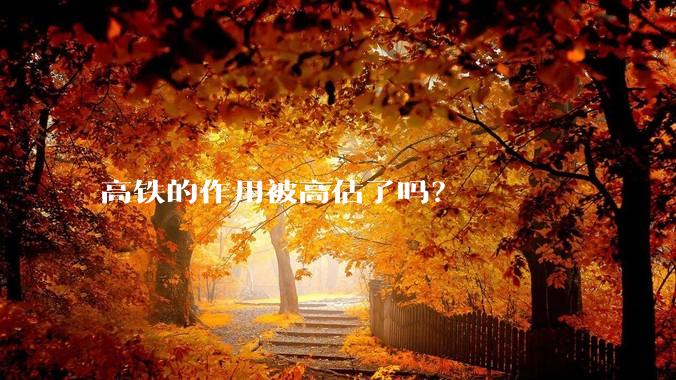 高铁的作用被高估了吗?