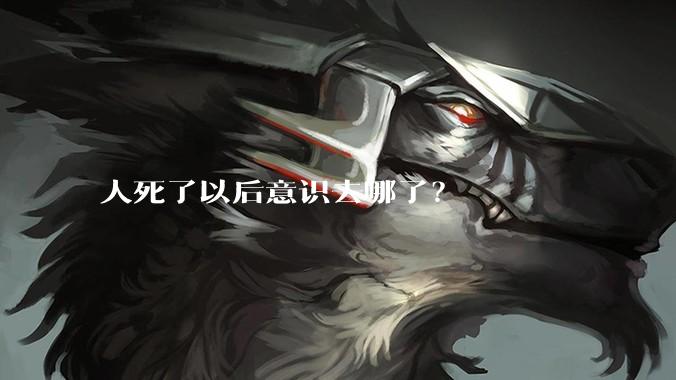 人死了以后意识去哪了?