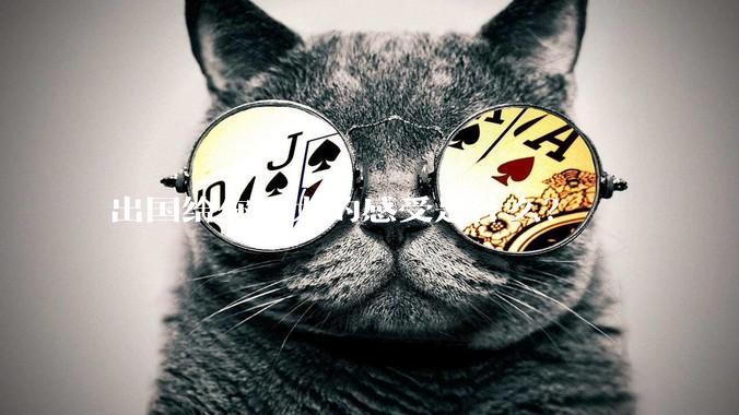 出国给你最大的感受是什么?
