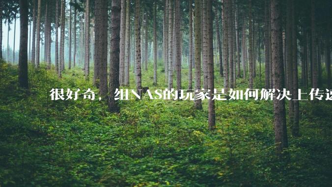 很好奇,组NAS的玩家是如何解决上传速率的问题?