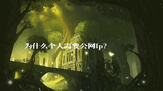 为什么个人需要公网ip?