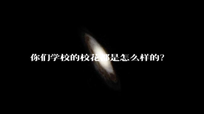 你们学校的校花都是怎么样的?