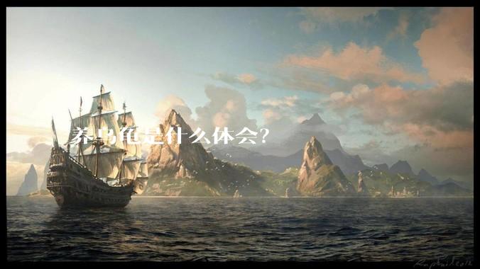 养乌龟是什么体会?