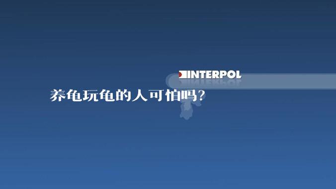 养龟玩龟的人可怕吗?