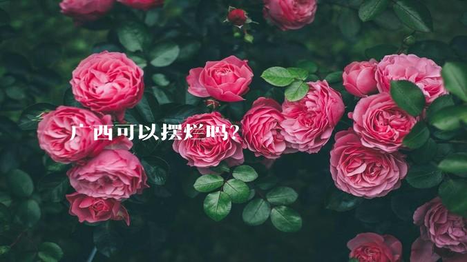 广西可以摆烂吗?