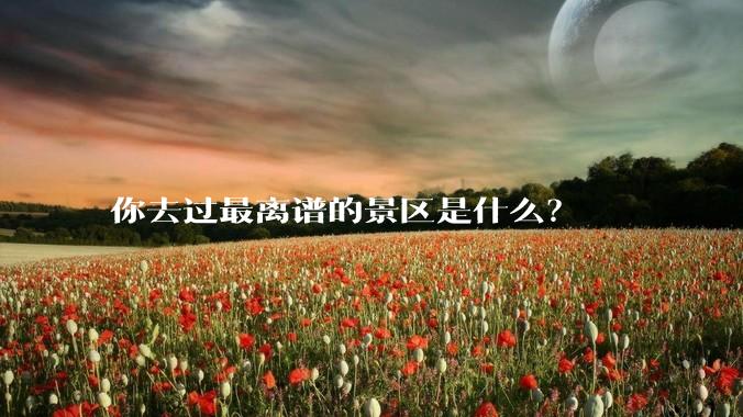 你去过最离谱的景区是什么?