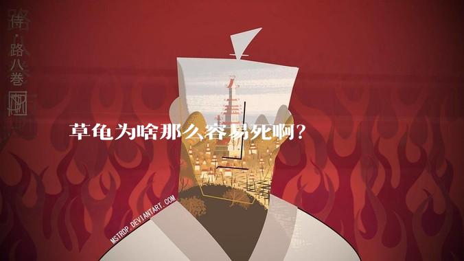 草龟为啥那么容易死啊?