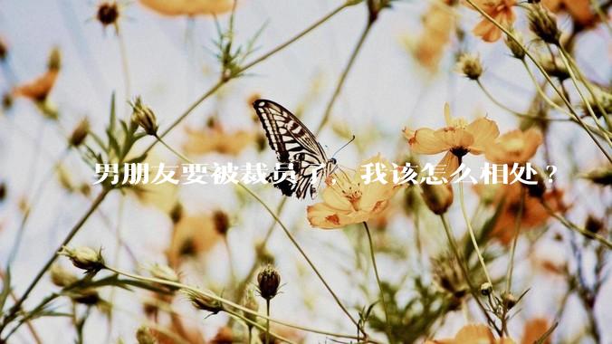 男朋友要被裁员了,我该怎么相处?