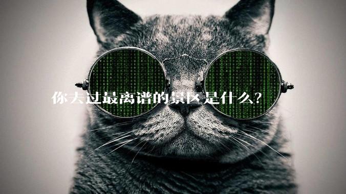 你去过最离谱的景区是什么?