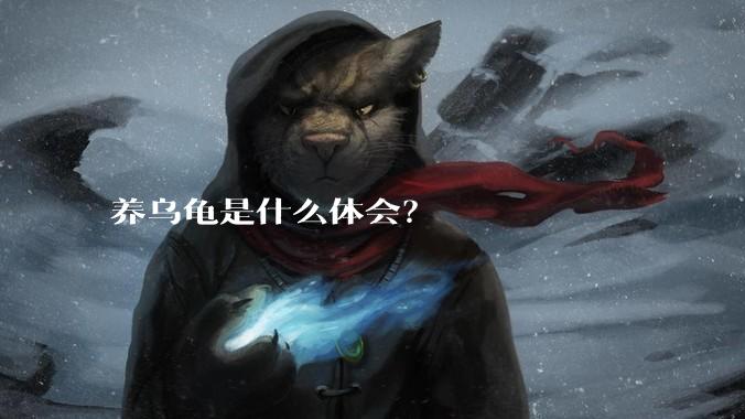 养乌龟是什么体会?