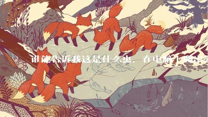 谁能告诉我这是什么虫,在电脑上爬出来吓死我了 ?