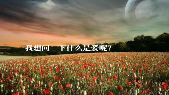 我想问一下什么是爱呢?