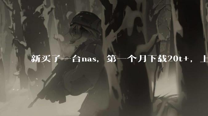 新买了一台nas,第一个月下载20t+,上传5+,不会被网警盯上吧?