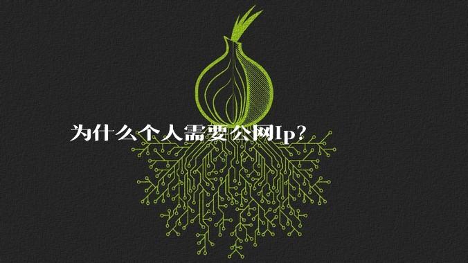 为什么个人需要公网ip?