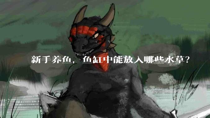 新手养鱼,鱼缸中能放入哪些水草?