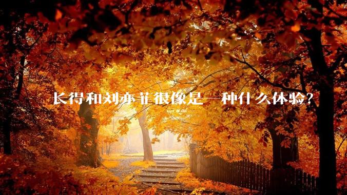 长得和刘亦菲很像是一种什么体验?