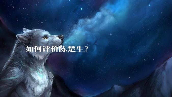 如何评价陈楚生?