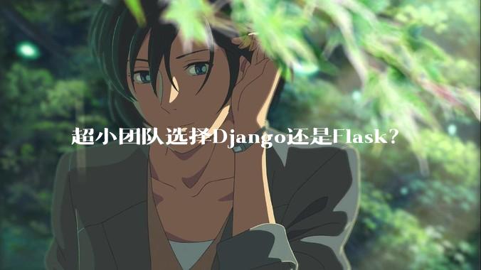 超小团队选择Django还是Flask?