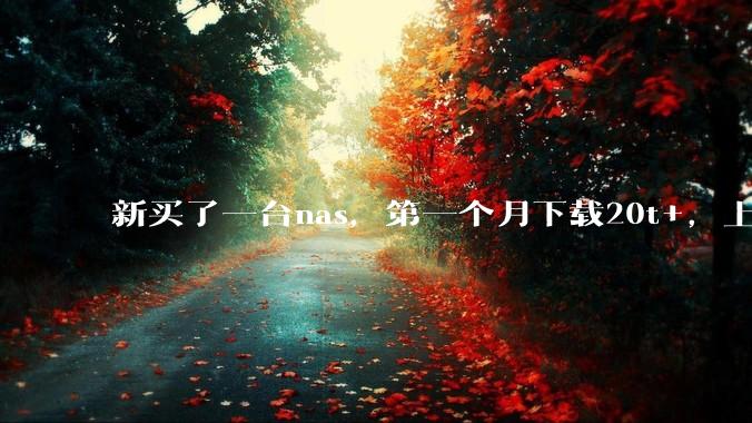 新买了一台nas,第一个月下载20t+,上传5+,不会被网警盯上吧?