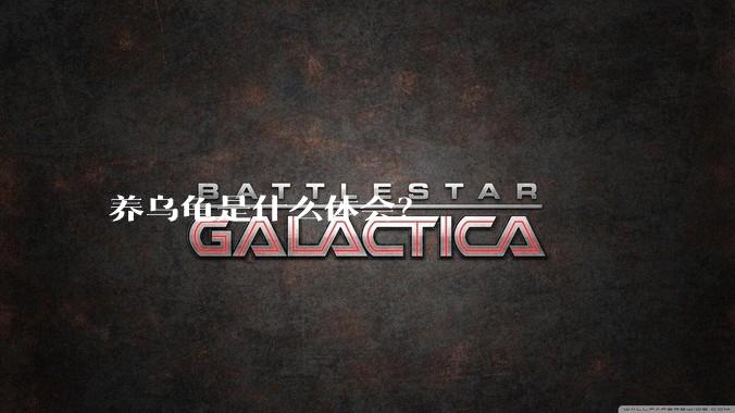 养乌龟是什么体会?