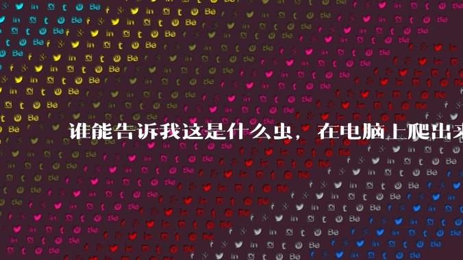 谁能告诉我这是什么虫,在电脑上爬出来吓死我了 ?