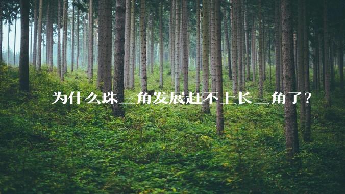 为什么珠三角发展赶不上长三角了?