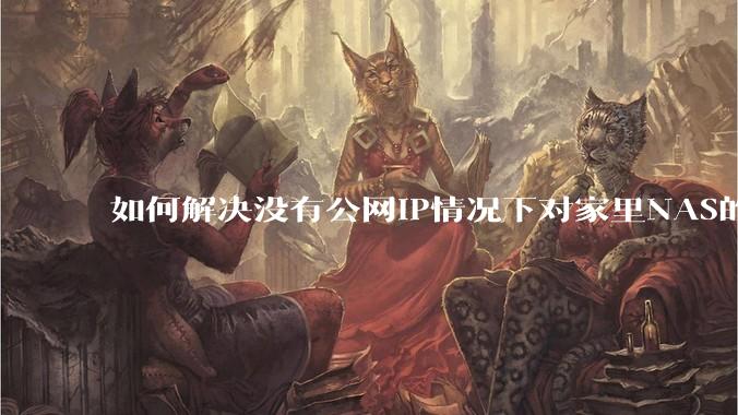 如何解决没有公网IP情况下对家里NAS的高速远程访问?