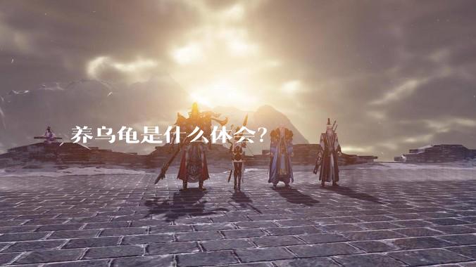 养乌龟是什么体会?