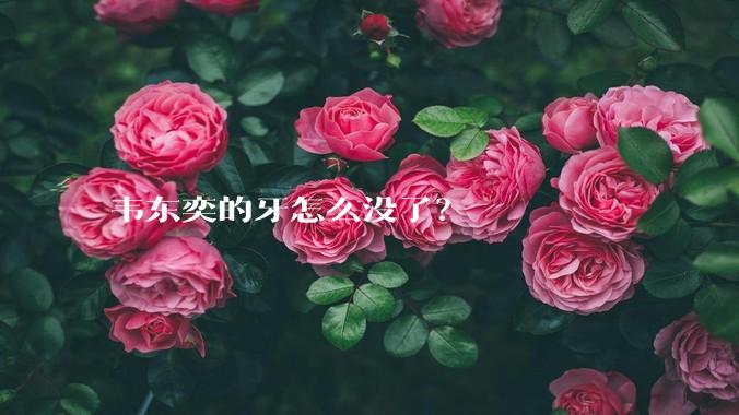 韦东奕的牙怎么没了?
