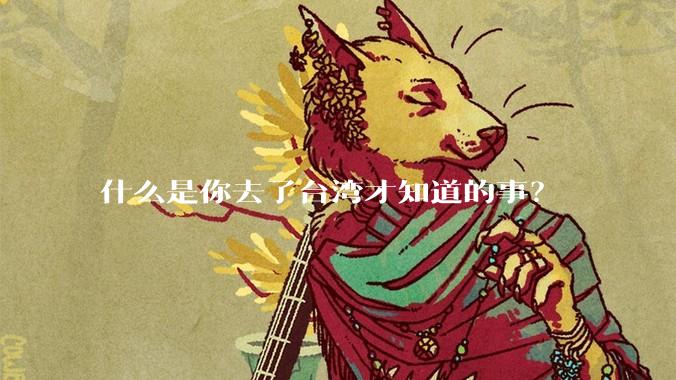 什么是你去了台湾才知道的事?