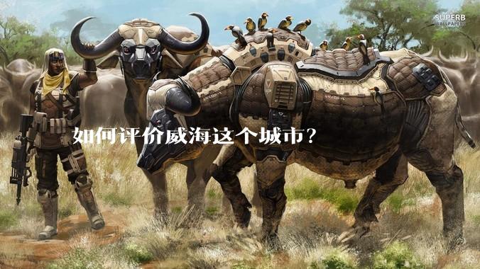 如何评价威海这个城市?