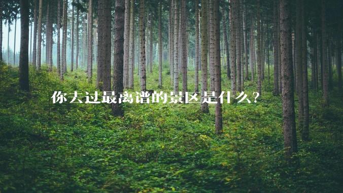 你去过最离谱的景区是什么?