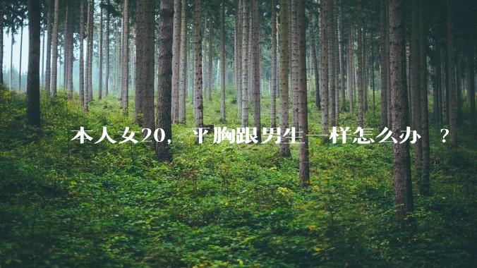 本人女20,平胸跟男生一样怎么办 ?
