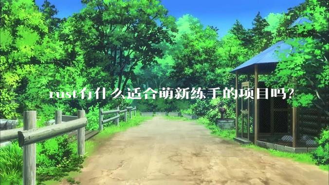 rust有什么适合萌新练手的项目吗？