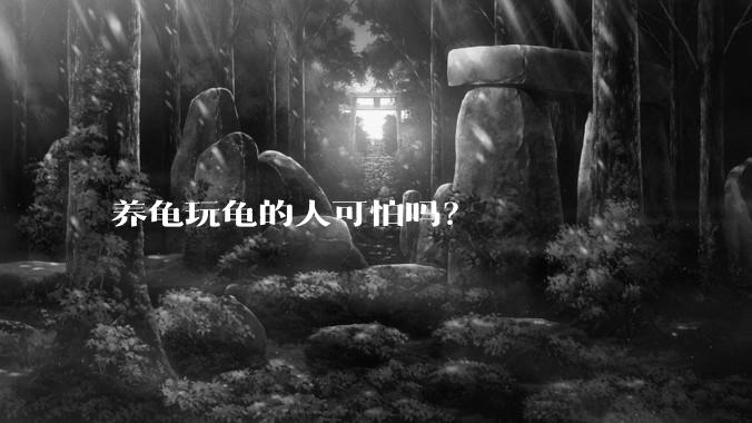 养龟玩龟的人可怕吗?