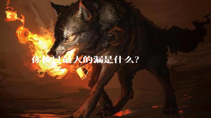 你捡过最大的漏是什么?