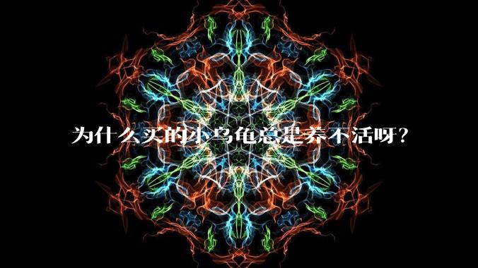 为什么买的小乌龟总是养不活呀?