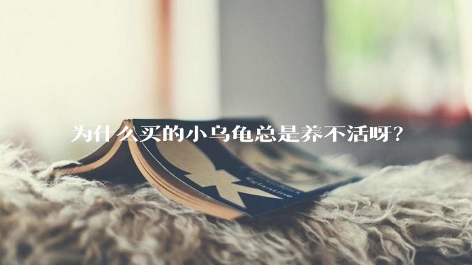 为什么买的小乌龟总是养不活呀?