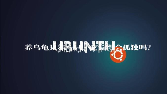养乌龟只养一只,它觉得会孤独吗?