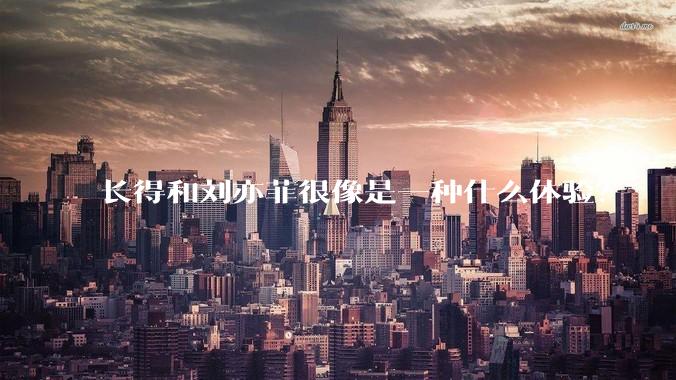 长得和刘亦菲很像是一种什么体验?