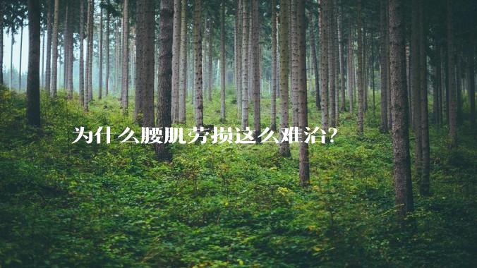 为什么腰肌劳损这么难治?