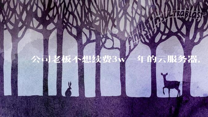 公司老板不想续费3w一年的云服务器,合理吗?