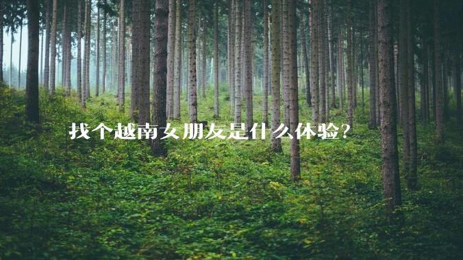 找个越南女朋友是什么体验?