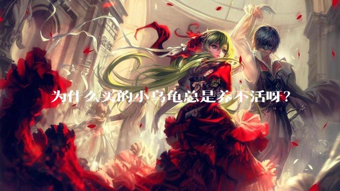 为什么买的小乌龟总是养不活呀?